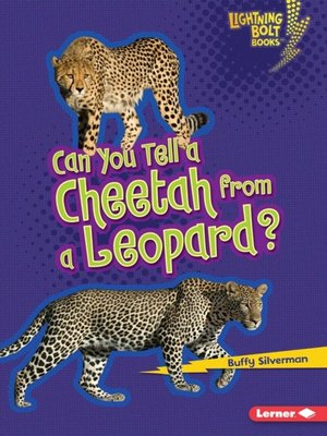 cover image of Can You Tell a Cheetah from a Leopard?